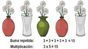 multiplicación flores