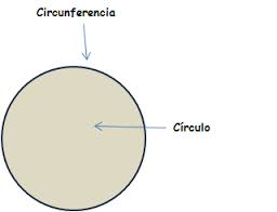 Círculo-circunferencia